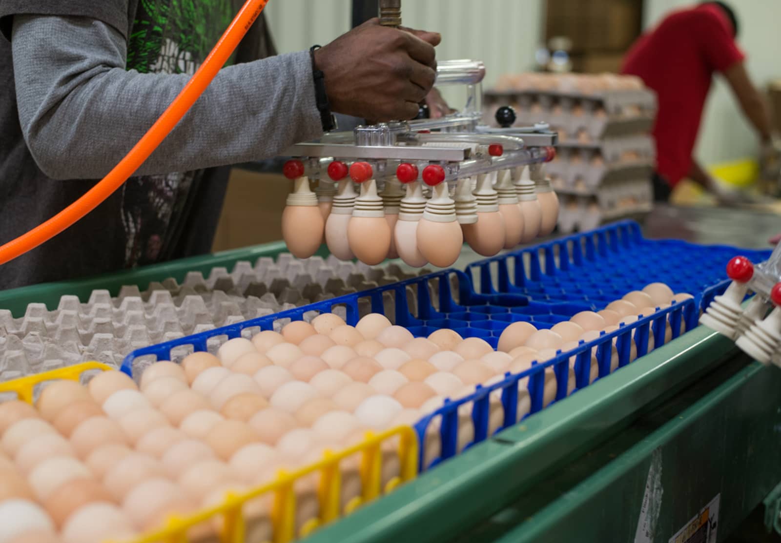 Keith Smith Company | Aileron